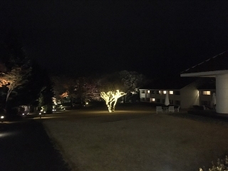 夜の庭園ライトアップはいつも皆様に好評頂いております♪