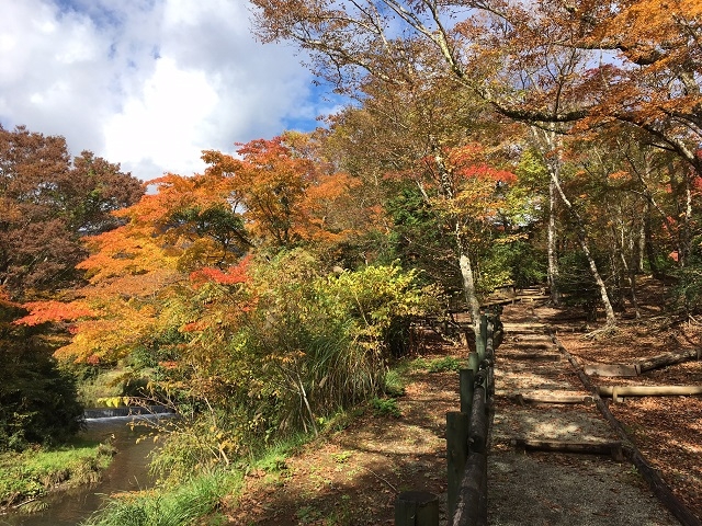 ＜紅葉で色付く庭園散策路＞