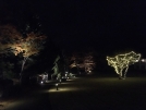 庭園イルミネーション