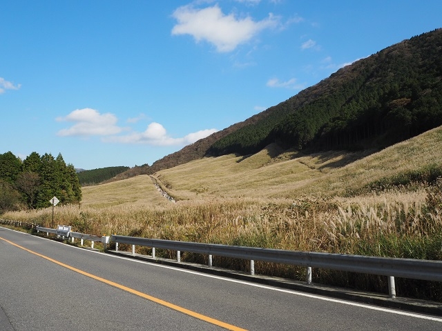 道路から見えるすすき高原の様子です