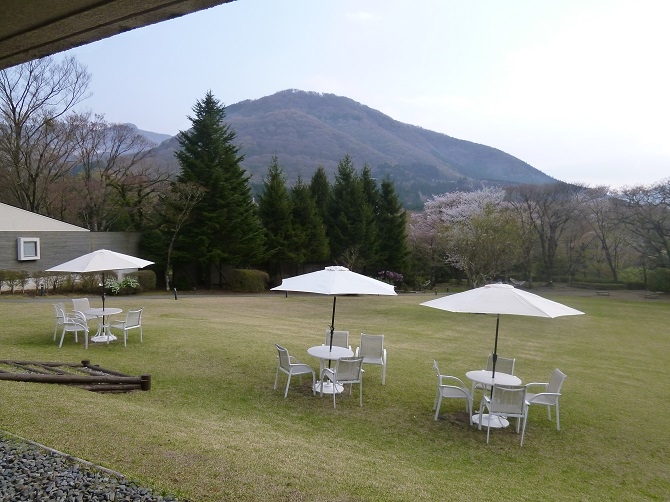 まっさらな芝生に囲まれて、奥に広がる木々や空を眺めながらお茶や軽食をお楽しみいただけます。