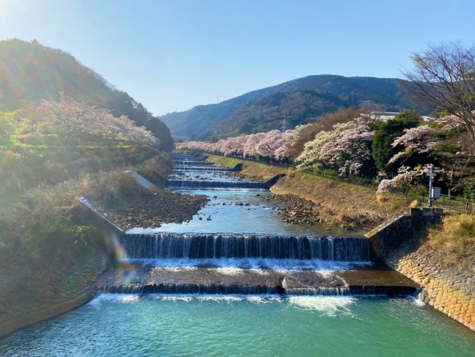 3月10日撮影