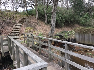 庭園奥にある池