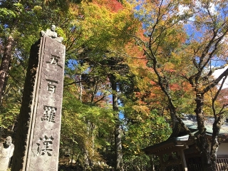 五百羅漢像と紅葉の共演