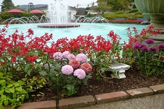 噴水の周りにも季節のお花が♪