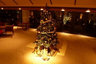 ラウンジでは毎年恒例のクリスマスツリーをご覧いただけます。