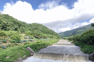 梅雨の中休み、爽やかな日和でした♪