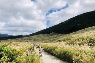 遊歩道は、わんちゃんもお散歩OKです♪