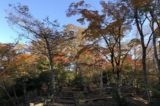 下庭を進んだ場所より（11月5日撮影）