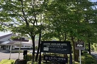 ホテル駐車場前の街路樹（5月16日撮影）