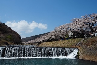 絶景を収められるフォトスポットがございます！