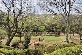 下庭の風景