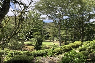 下庭の風景；栗が実った様子をご覧いただけます