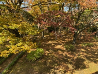 森側客室からの様子です