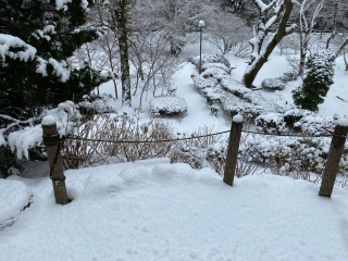 一面雪景色です！