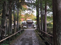 箱根仙石原紅葉の名所「長安寺」