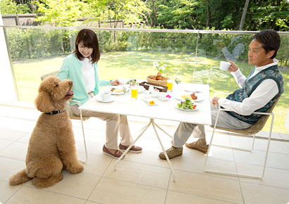 朝食もワンちゃんと一緒に楽しむ