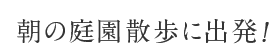 朝の庭園散歩に出発！