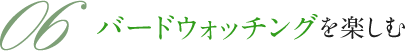 バードウォッチングを楽しむ