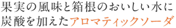 果実の風味と箱根のおいしい水に炭酸を加えたアロマティックソーダ