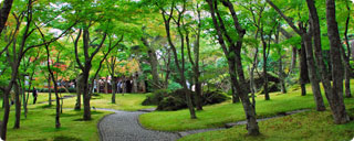 箱根美術館