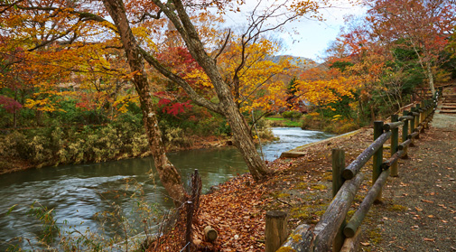 広大な敷地･庭園