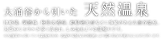 大涌谷から引いた天然温泉 神経痛、関節痛、慢性皮膚病、動脈硬化症などに効能がある大涌谷温泉。天然のミネラルが多く含まれ、しみ込むような肌触りです。