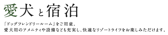 愛犬と宿泊 「ドッグフレンドリールーム」をご用意。愛犬用のアメニティや設備なども充実し、快適なリゾートライフをお楽しみただけます。