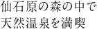 仙石原の森の中で天然温泉を満喫